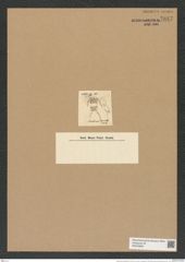 Chaetoceros borealis Bail. (de-Toni-Nr.: Genus 149, Species 4106) Zeichnungen Sammlung Grunow Nr. 7647 (NHMW-BOT-W0376830)